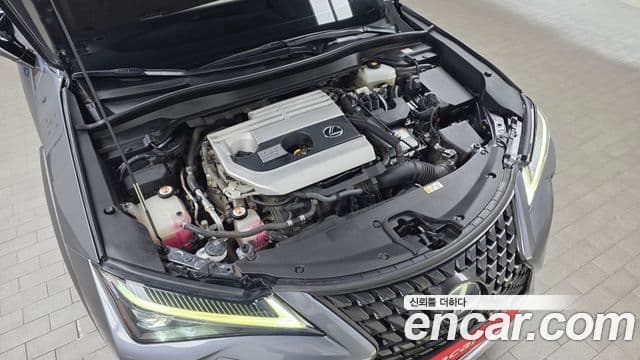 Lexus UX250h 2019 — фото 6 из 20