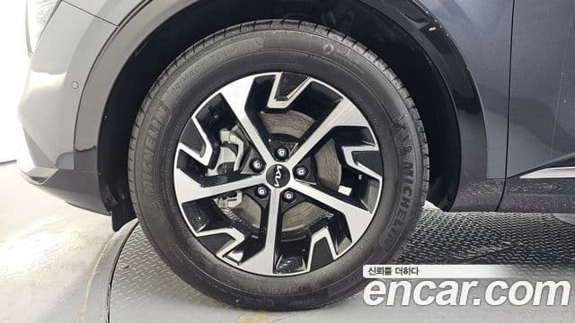 Kia Sportage 2022 — фото 5 из 20