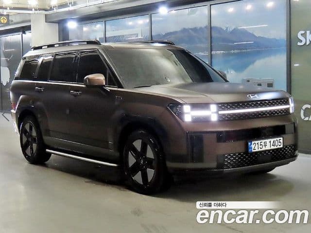 Hyundai Santa Fe 2024 — ფოტო 10/20