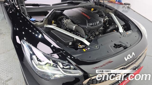 Kia Stinger 2022 — Şəkil 6/20