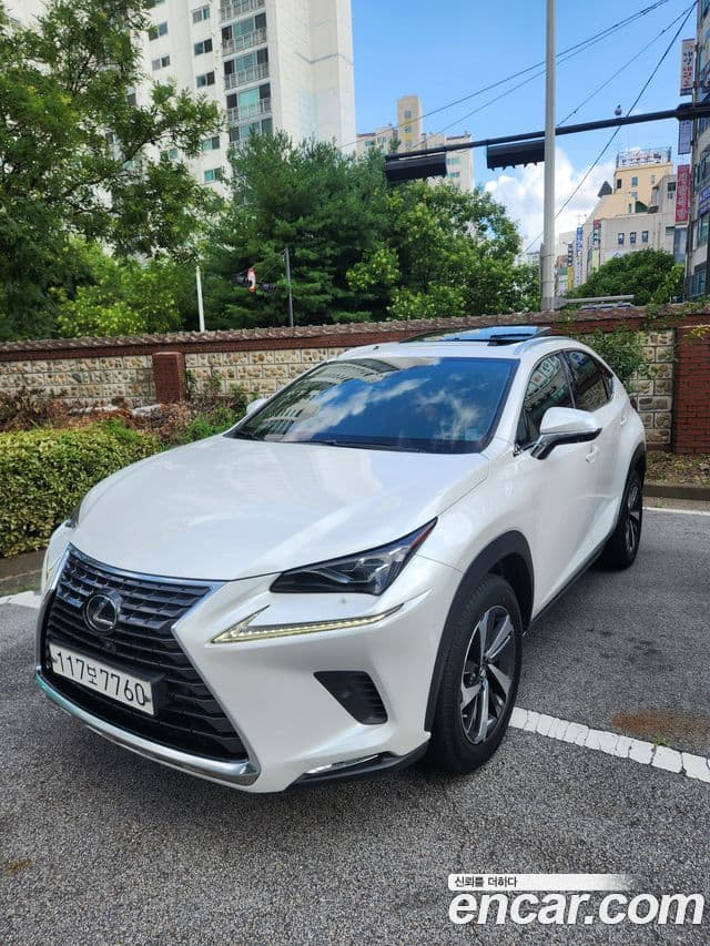 Lexus NX300h 2021 — Şəkil 10/19