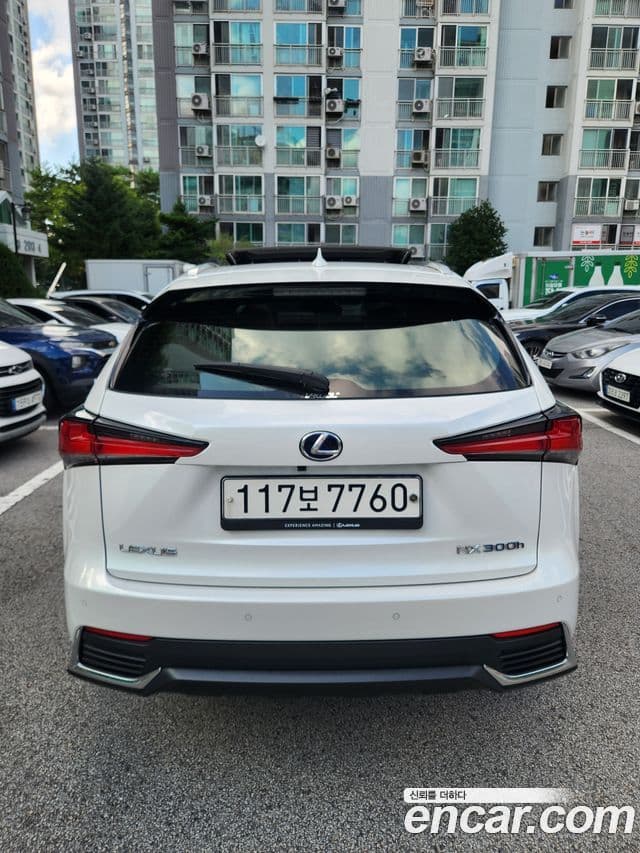 Lexus NX300h 2021 — Şəkil 3/19