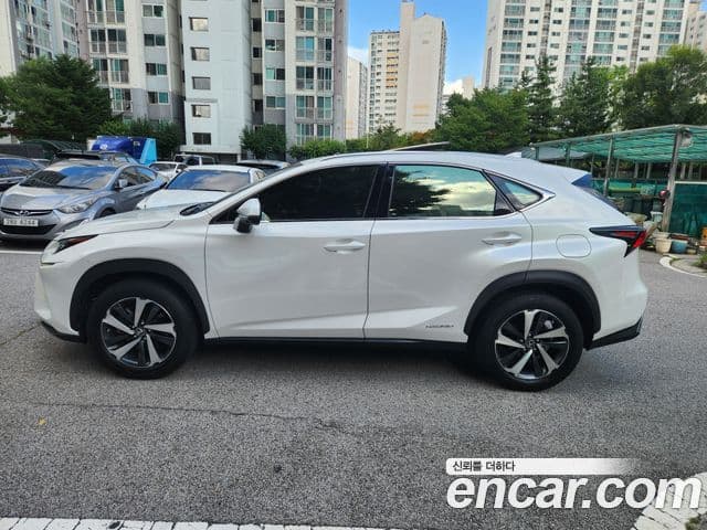 Lexus NX300h 2021 — Şəkil 16/19