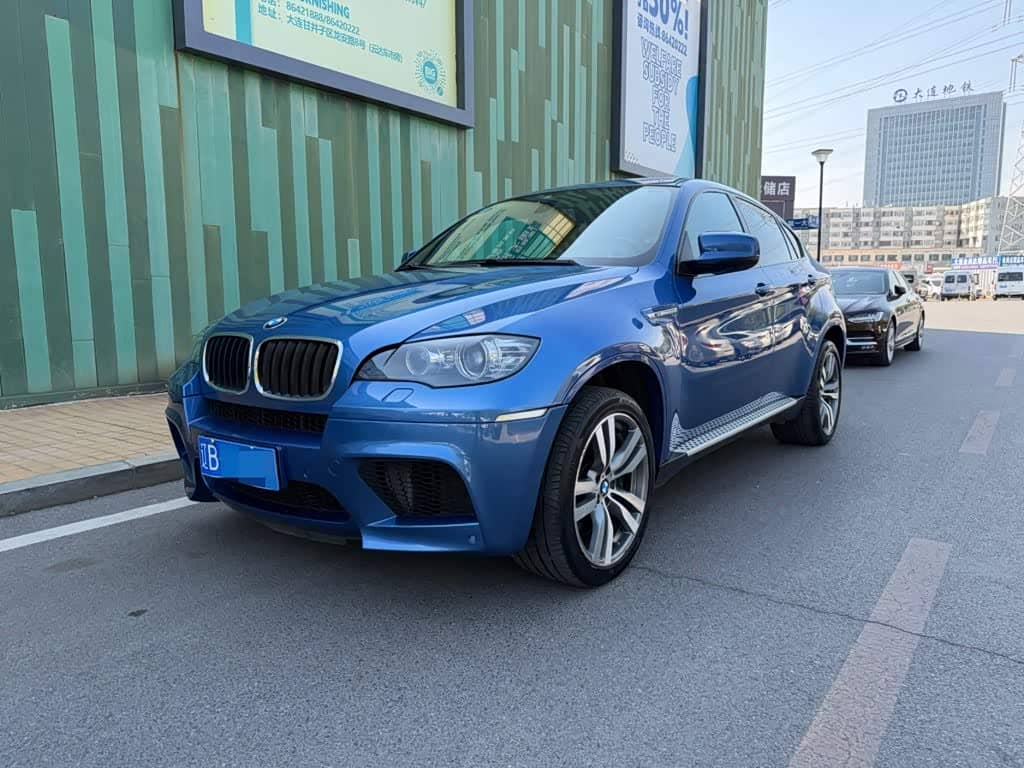 BMW X6 M, 2010