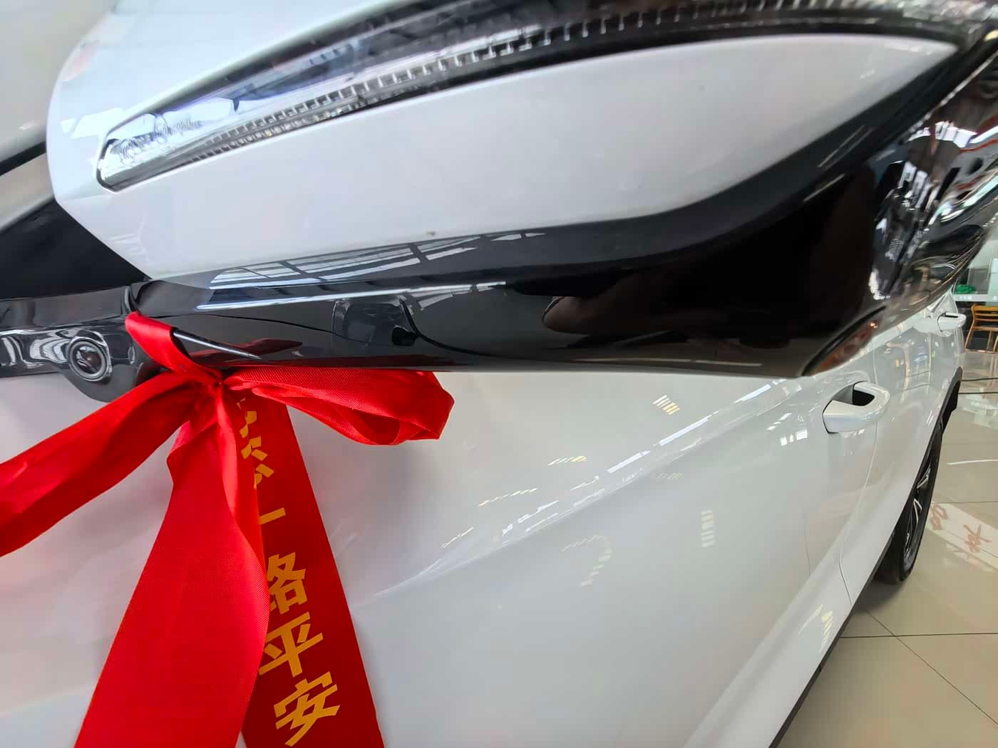 BYD Song Pro New Energy 2026 — Фото 13/14