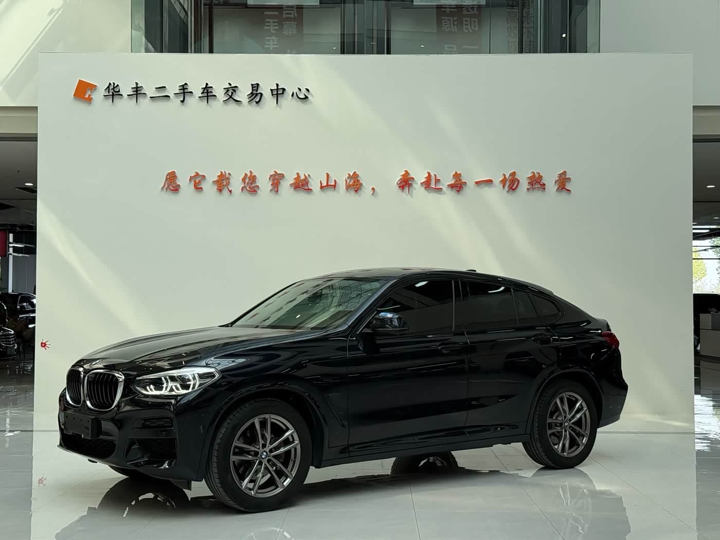 BMW X4 2020 — Фото 1/19