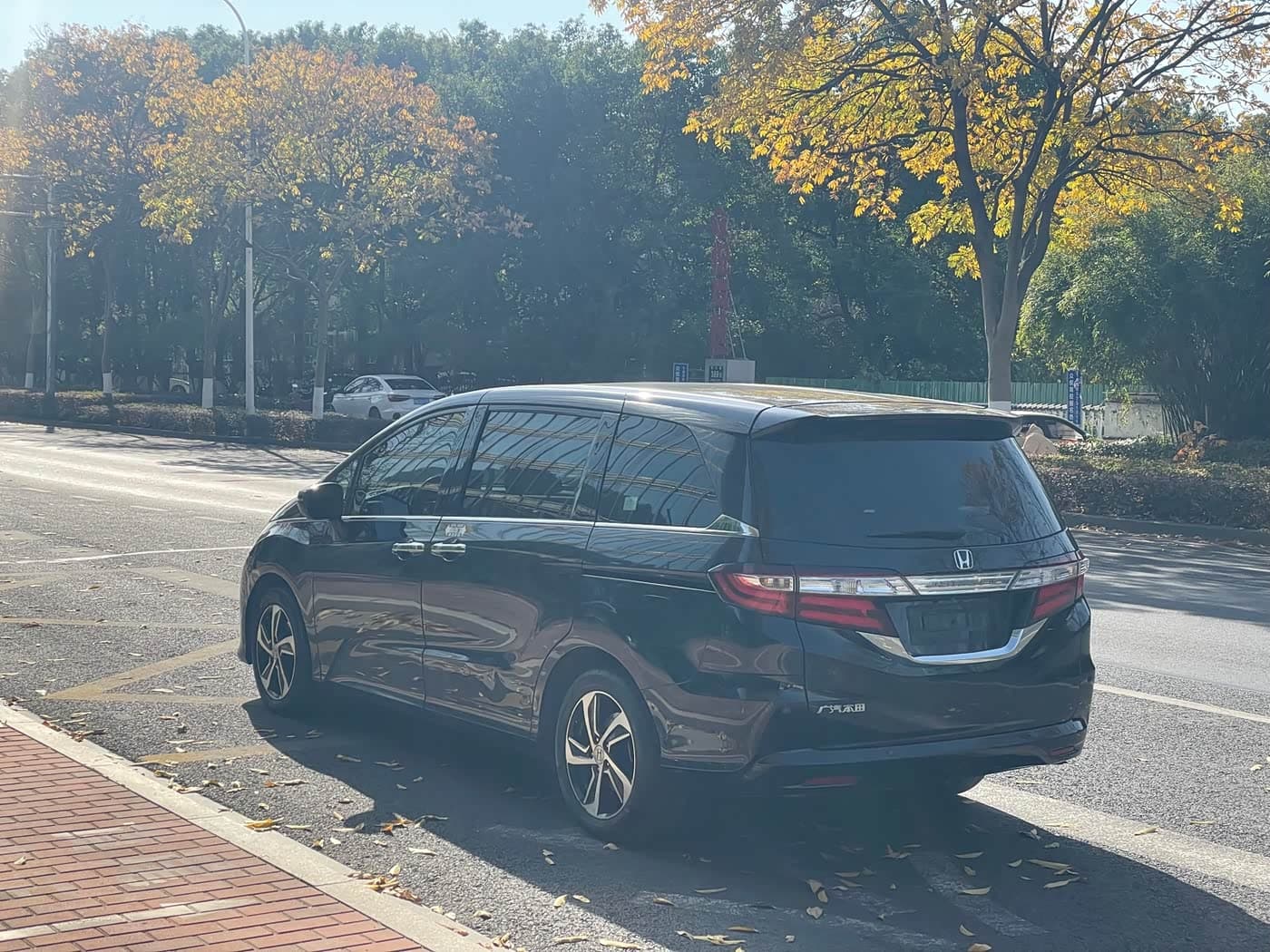 Honda Odyssey 2017 — Фото 15/17