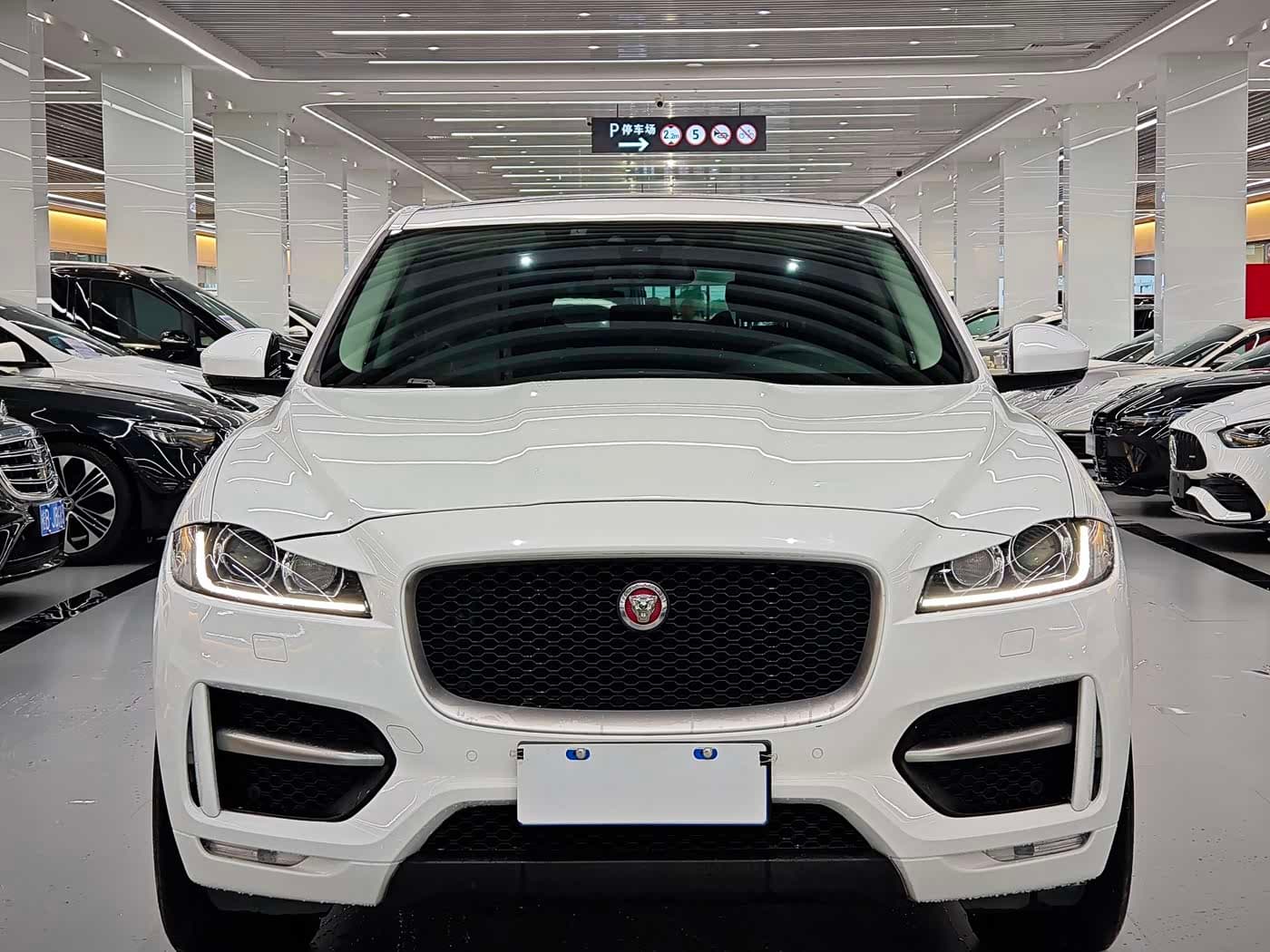 Jaguar F-PACE 2017 — Фото 2/12