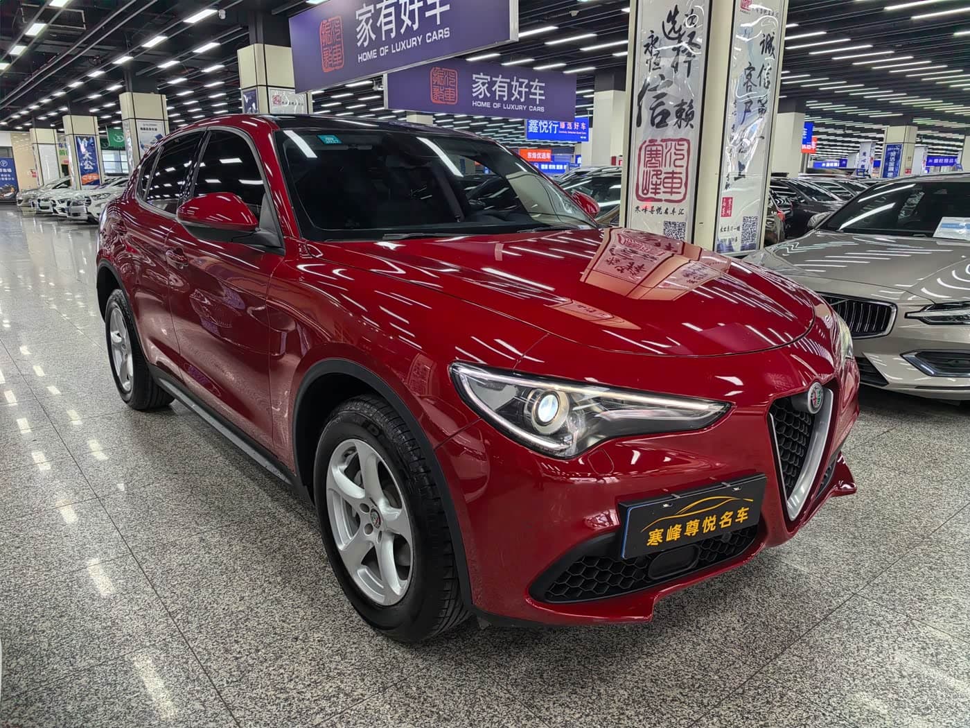 Alfa Romeo Stelvio 2019 — Фото 2/12