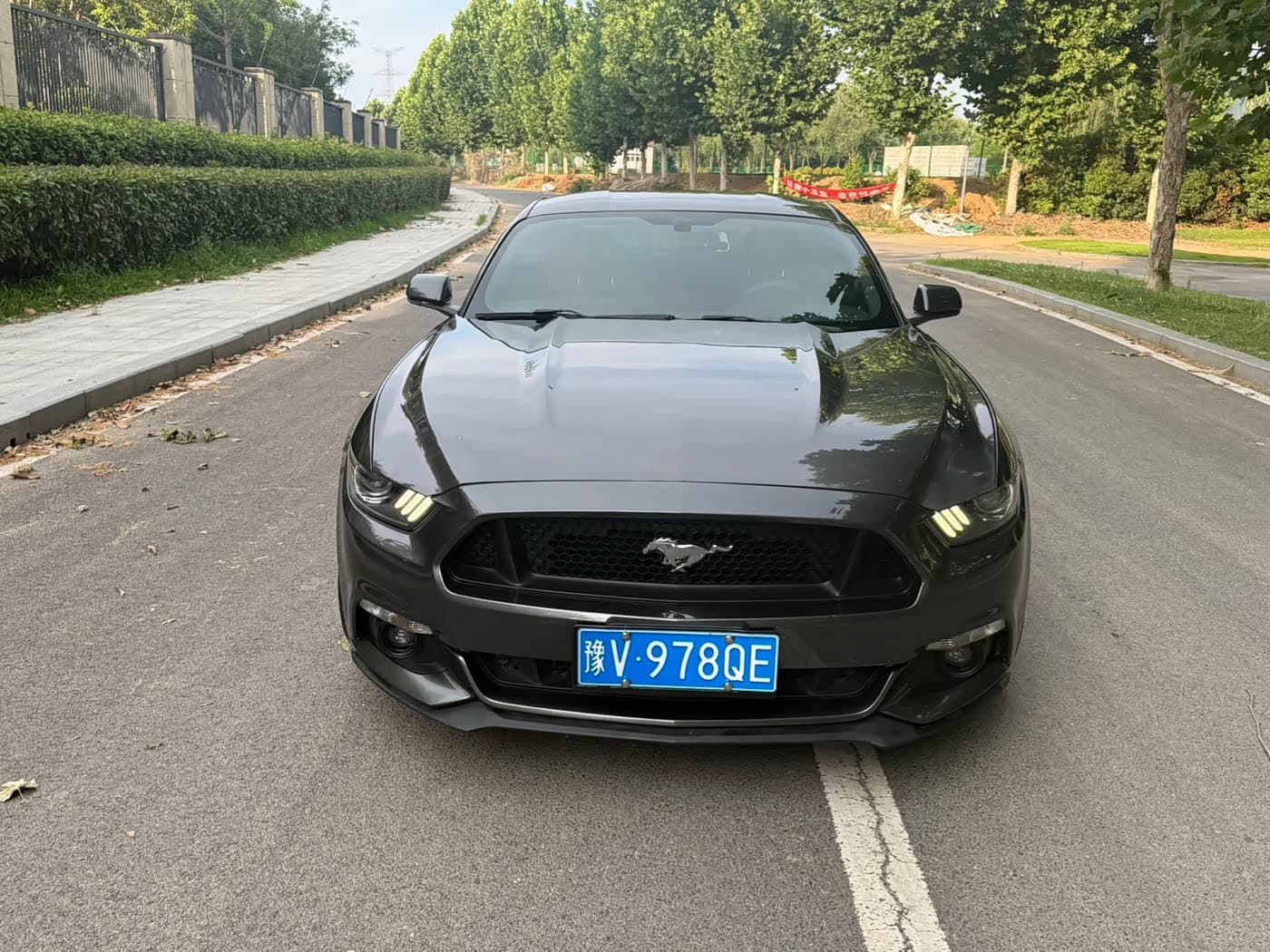 Ford Mustang 2016 — Фото 2/10