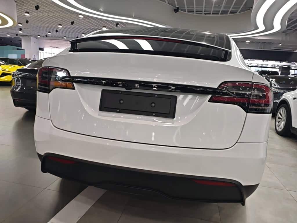 Tesla Model X 2023 — Фото 6/20