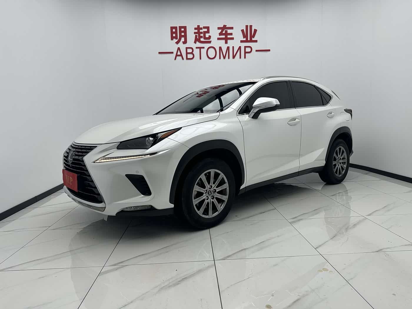 Lexus NX 2020 — Фото 1/19