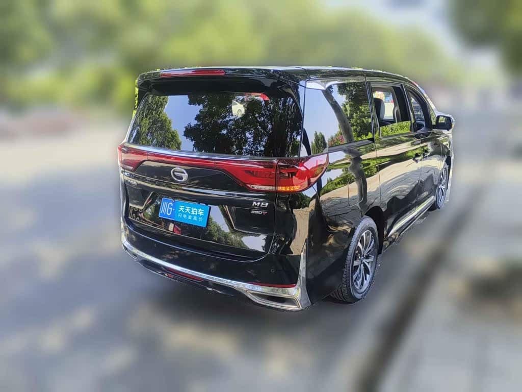 GAC Trumpchi Trumpchi M8 2025 — Фото 2/13