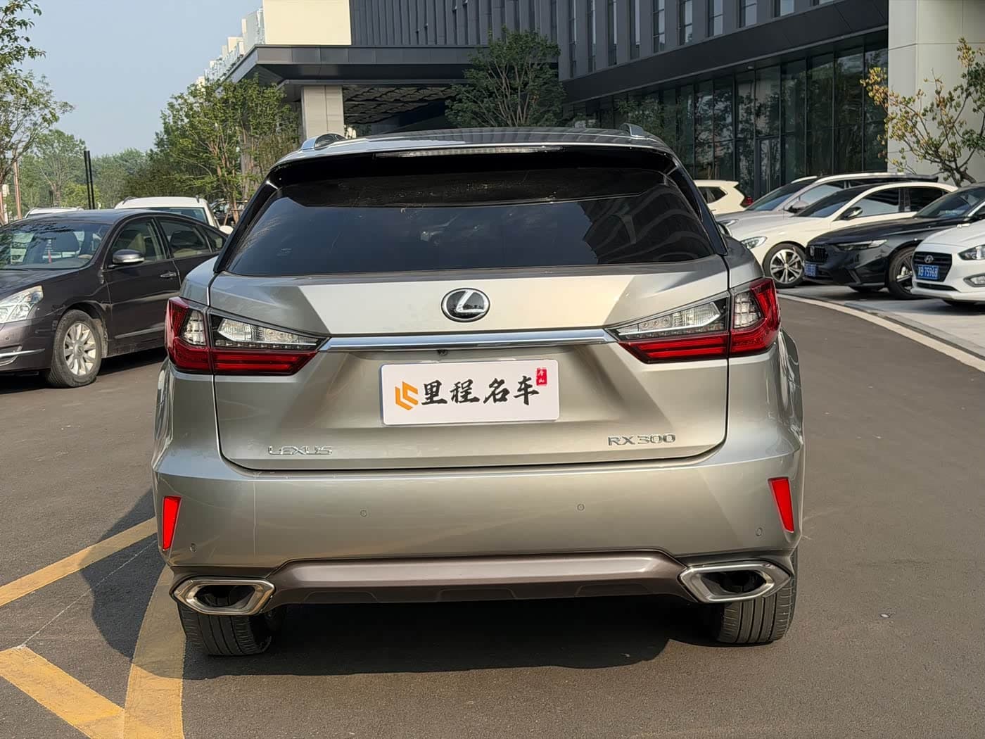 Lexus RX 2019 — Фото 6/19