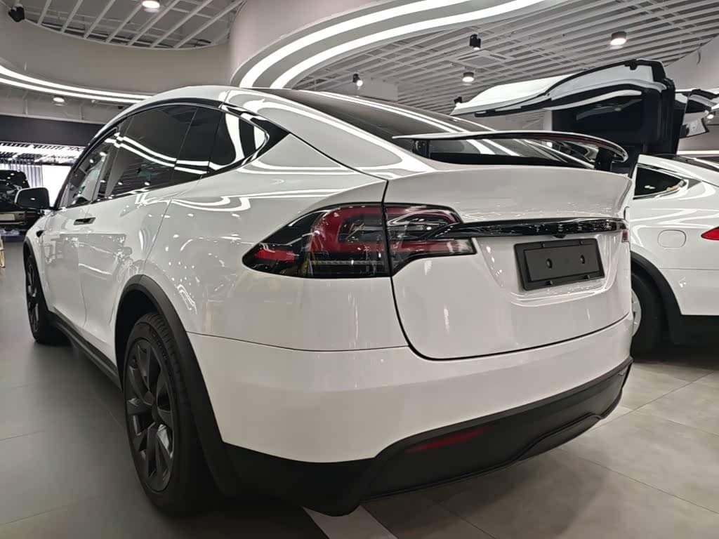 Tesla Model X 2023 — Фото 5/20