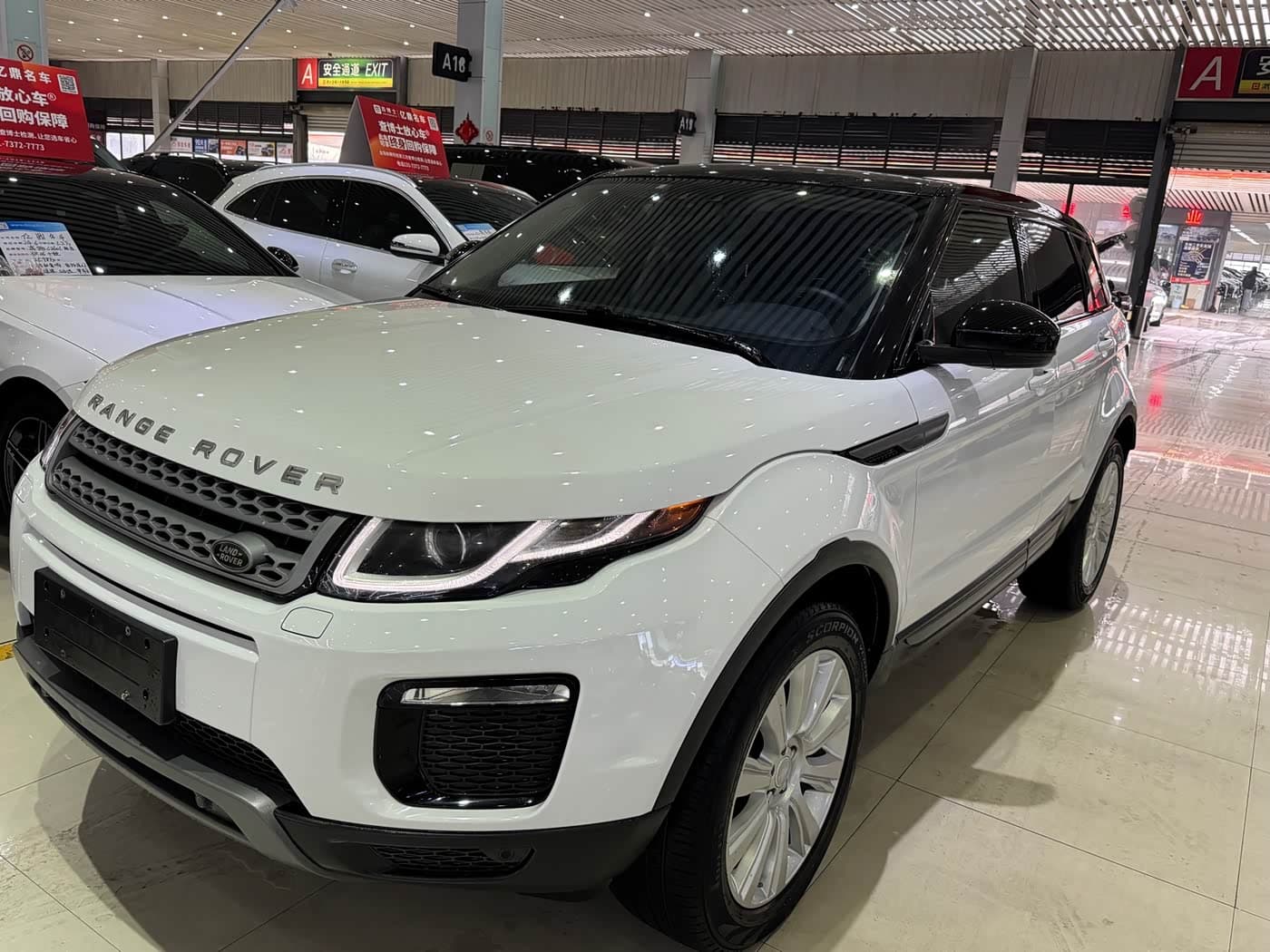 Land Rover Range Rover Evoque 2019 — Фото 1/10