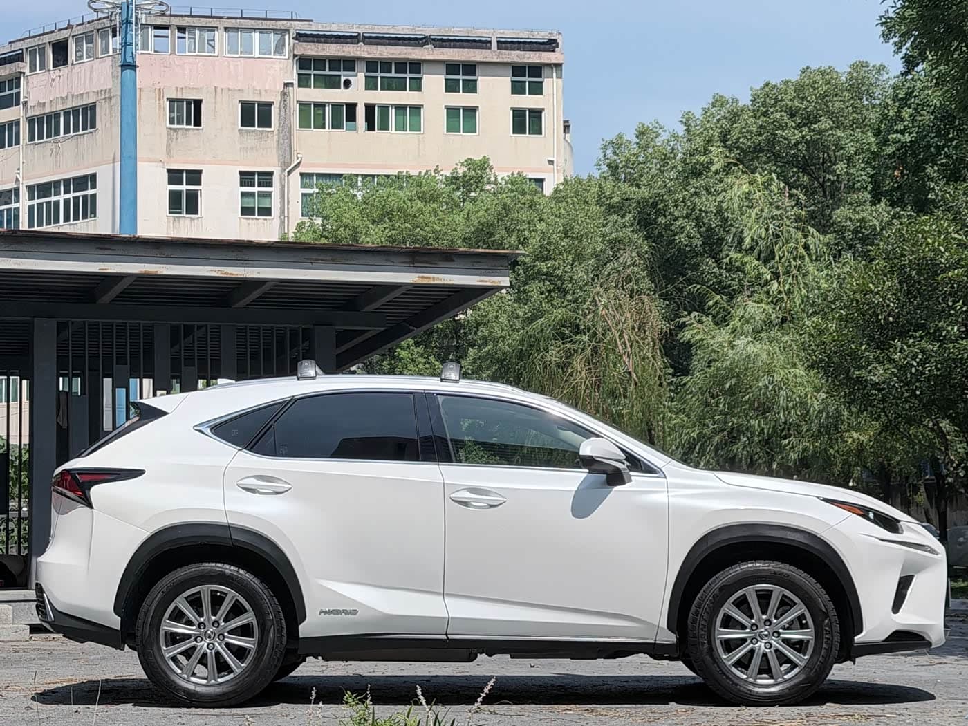 Lexus NX 2018 — Фото 14/17