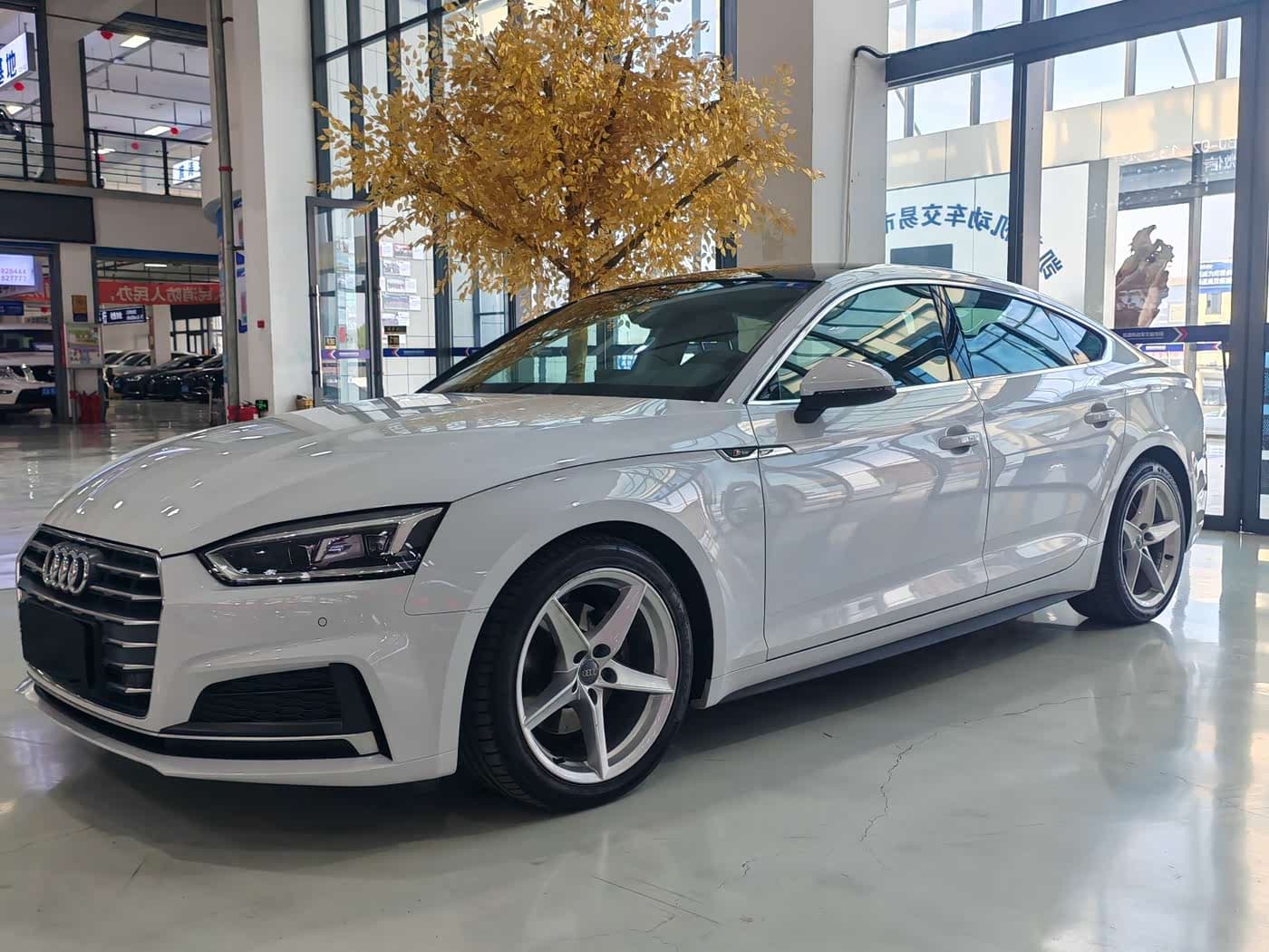 Audi A5 2020 — Фото 1/20