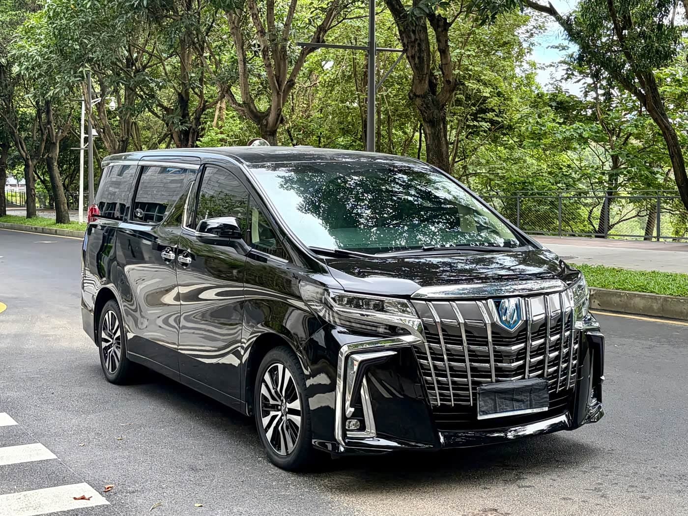 Toyota Alphard 2019 — Фото 3/20