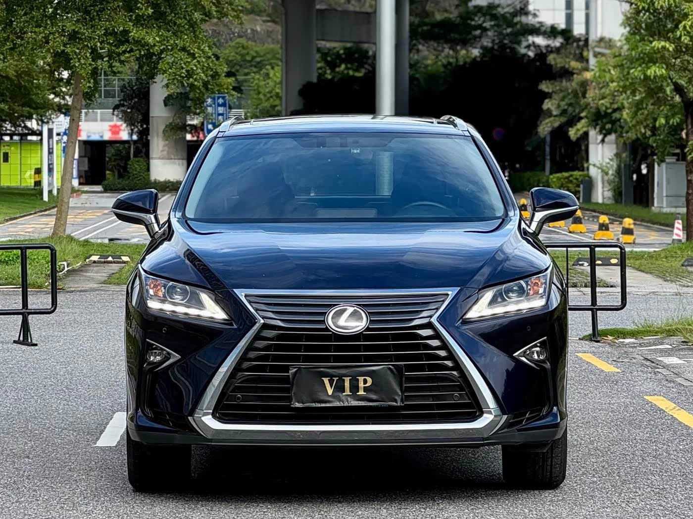 Lexus RX 2016 — Фото 2/20