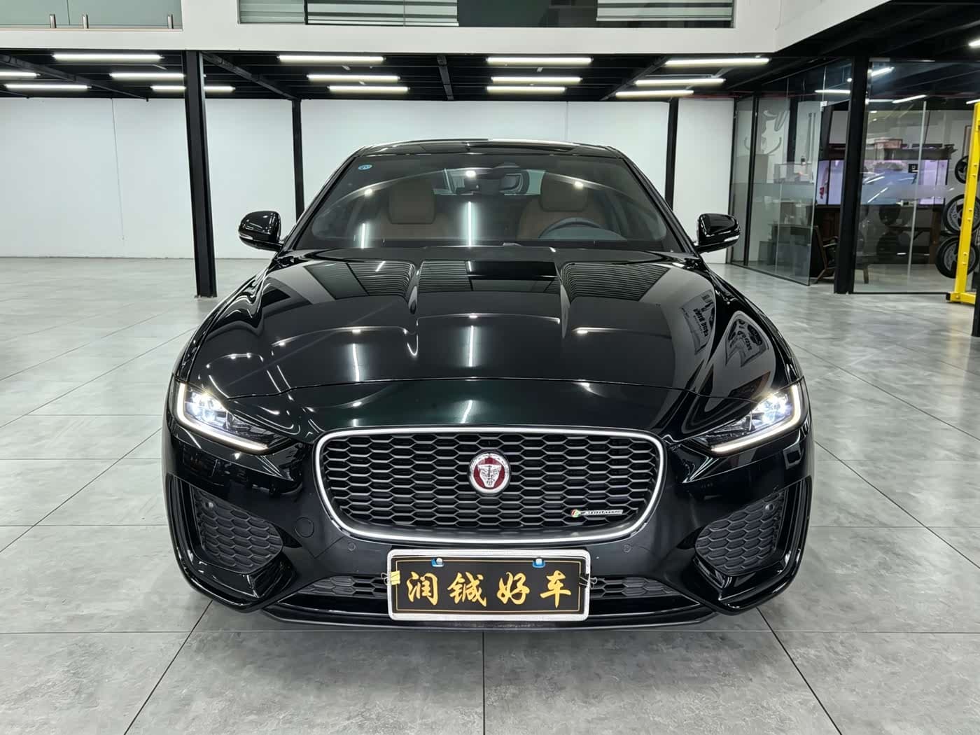 Jaguar XEL 2024 — Фото 2/15