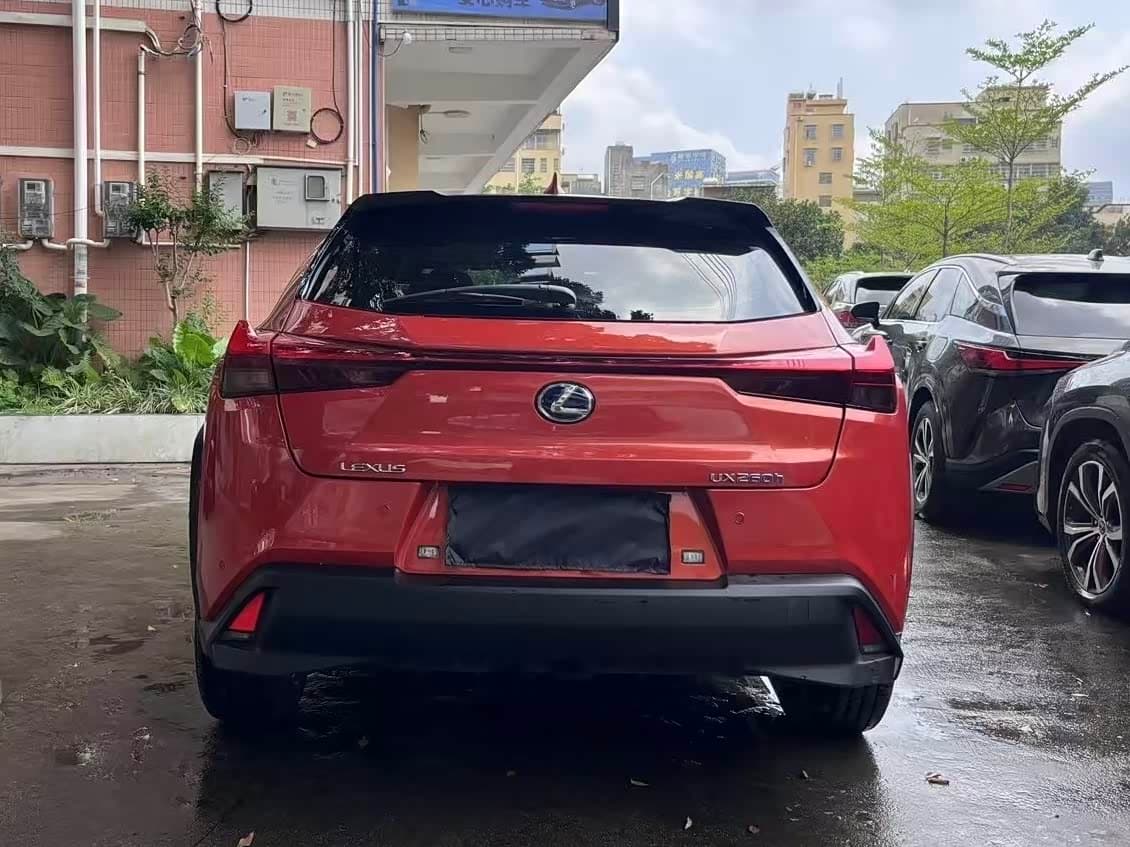 Lexus UX 2020 — Фото 9/9