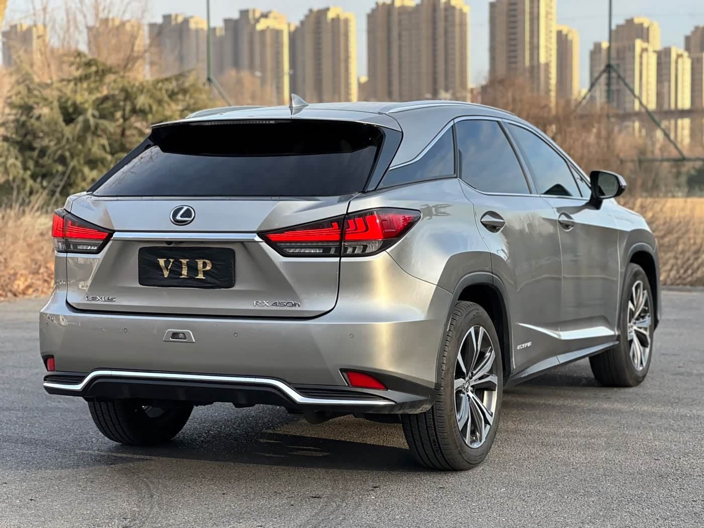 Lexus RX 2020 — Фото 8/17