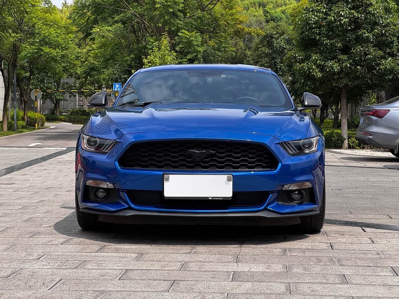 Ford Mustang 2018 — Фото 6/20