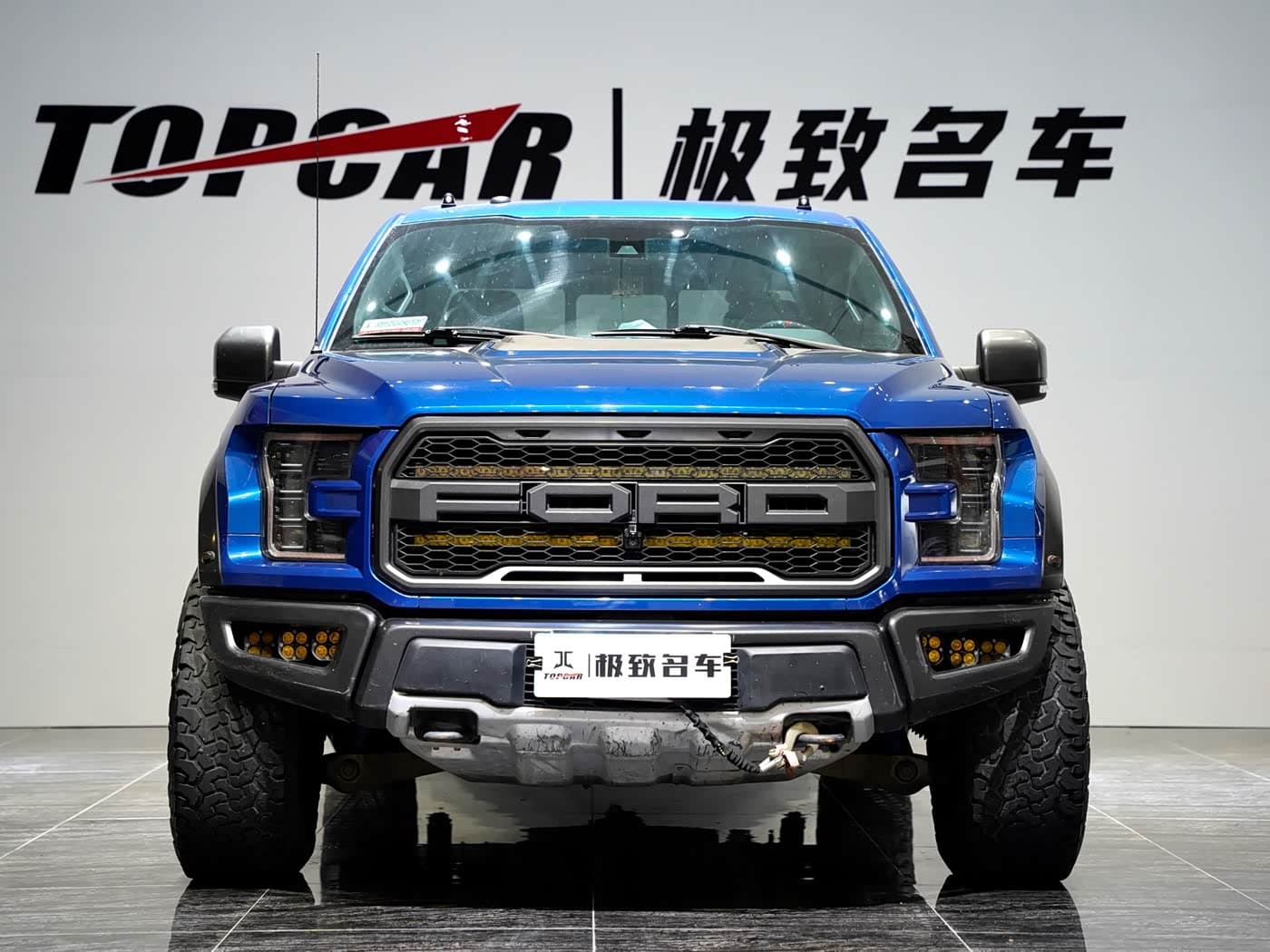 Ford F-150 Raptor 2019 — Фото 2/19