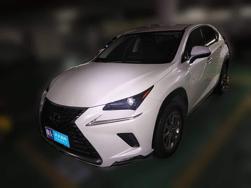 Lexus NX 2020 — Фото 1/13