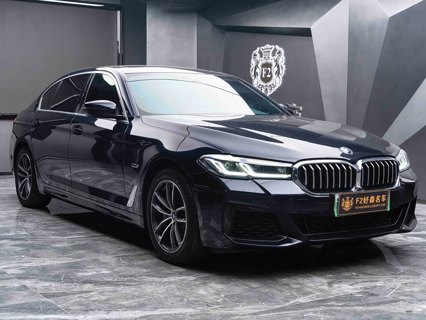 BMW 5 Series New Energy 2023 — Фото 7/20
