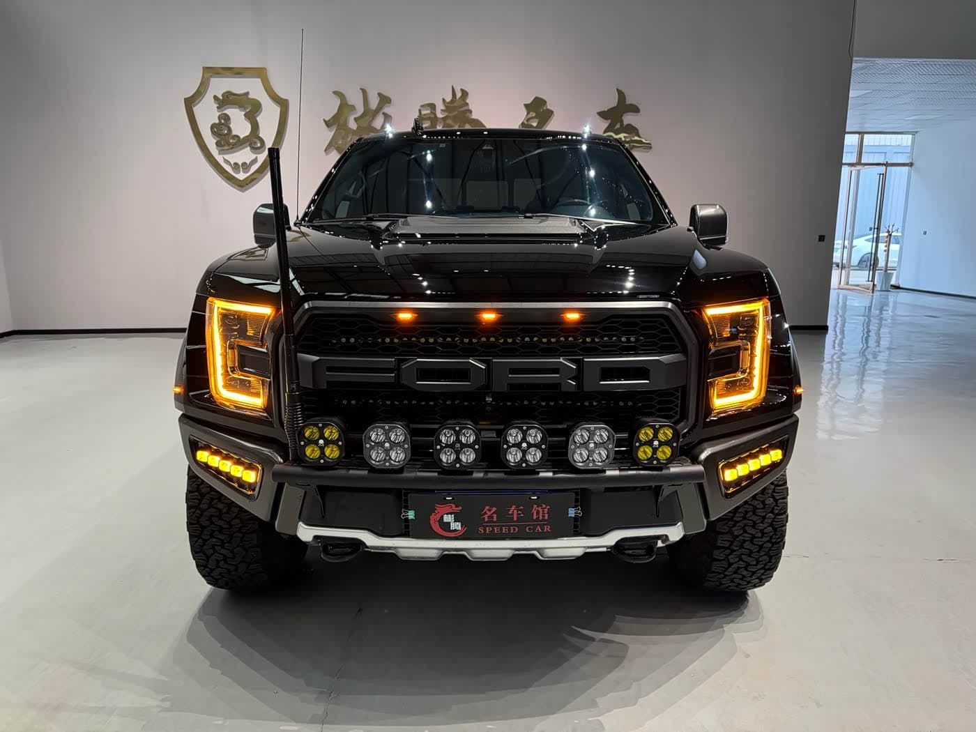 Ford F-150 Raptor 2019 — Фото 1/20