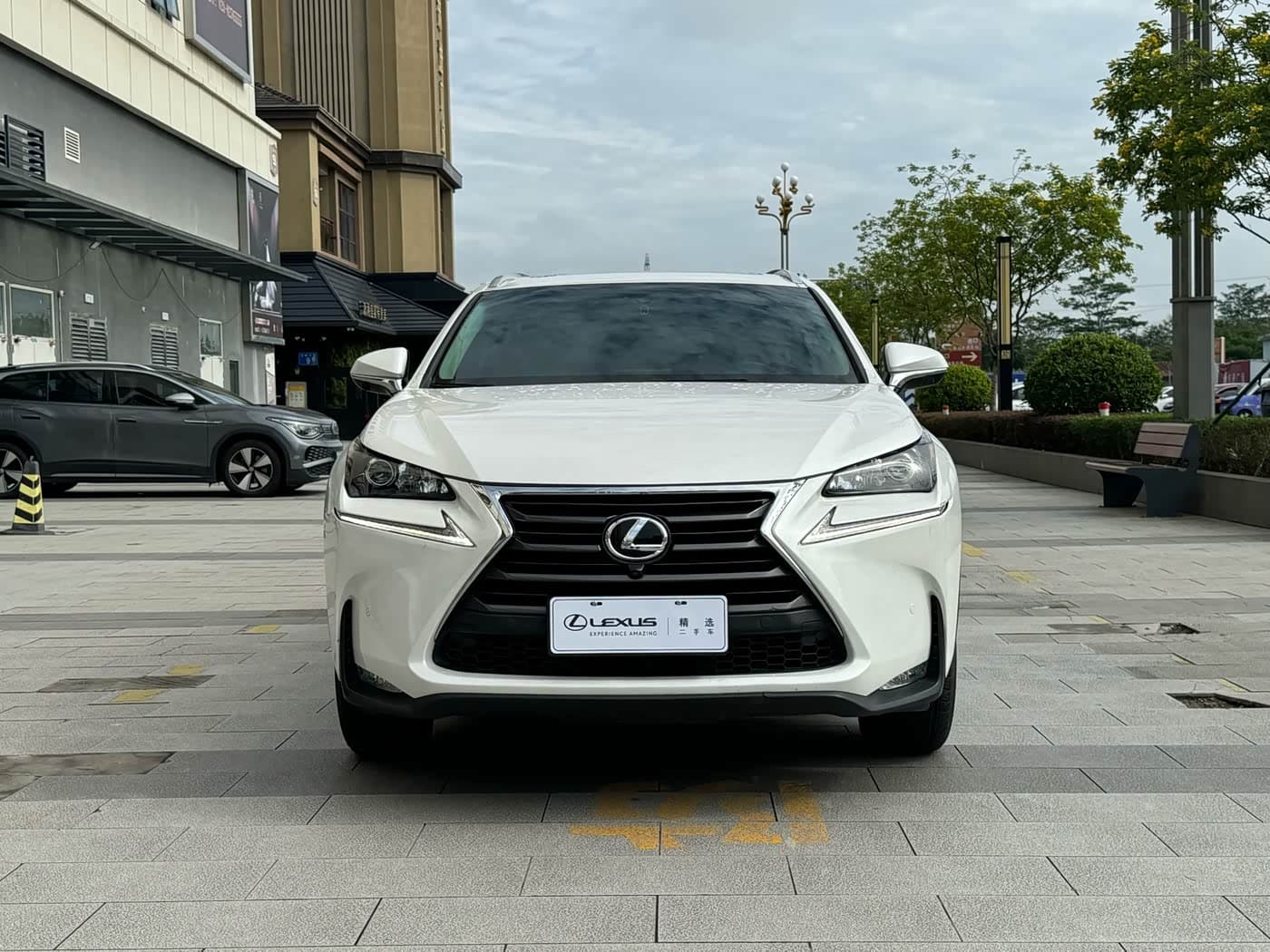 Lexus NX 2017 — Фото 2/9