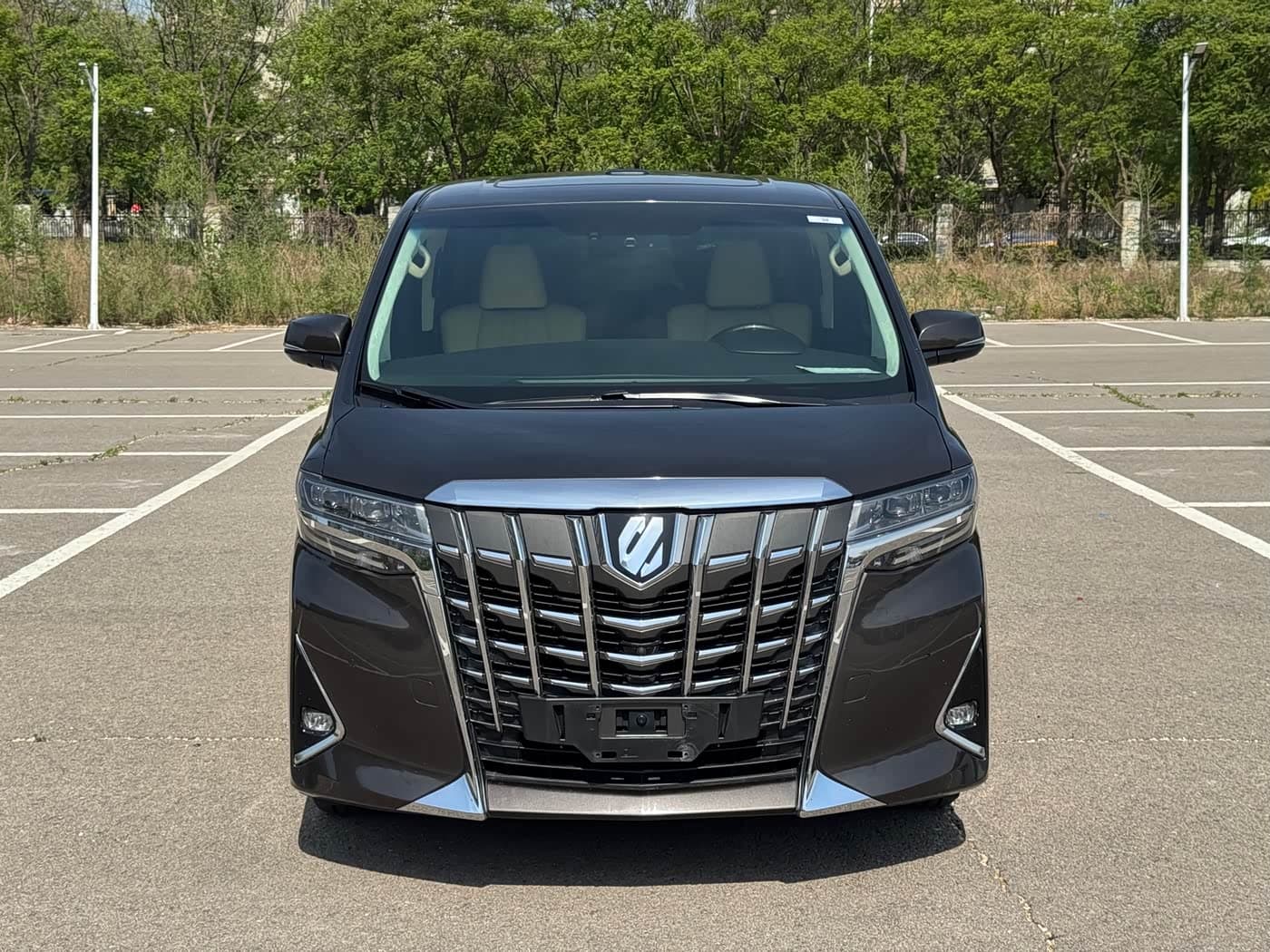 Toyota Alphard 2019 — Фото 2/20