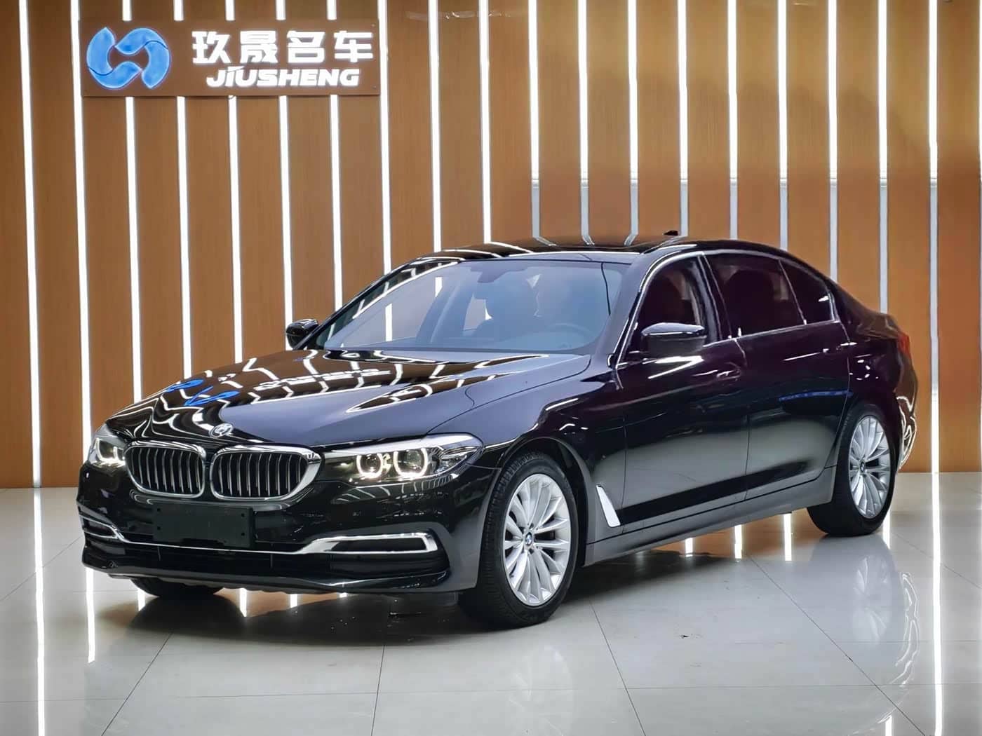 BMW 5 Series, 2019