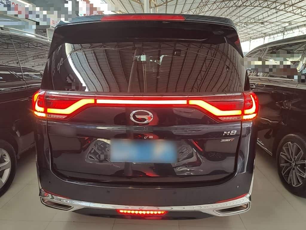 GAC Trumpchi Trumpchi M8 2021 — Фото 6/20