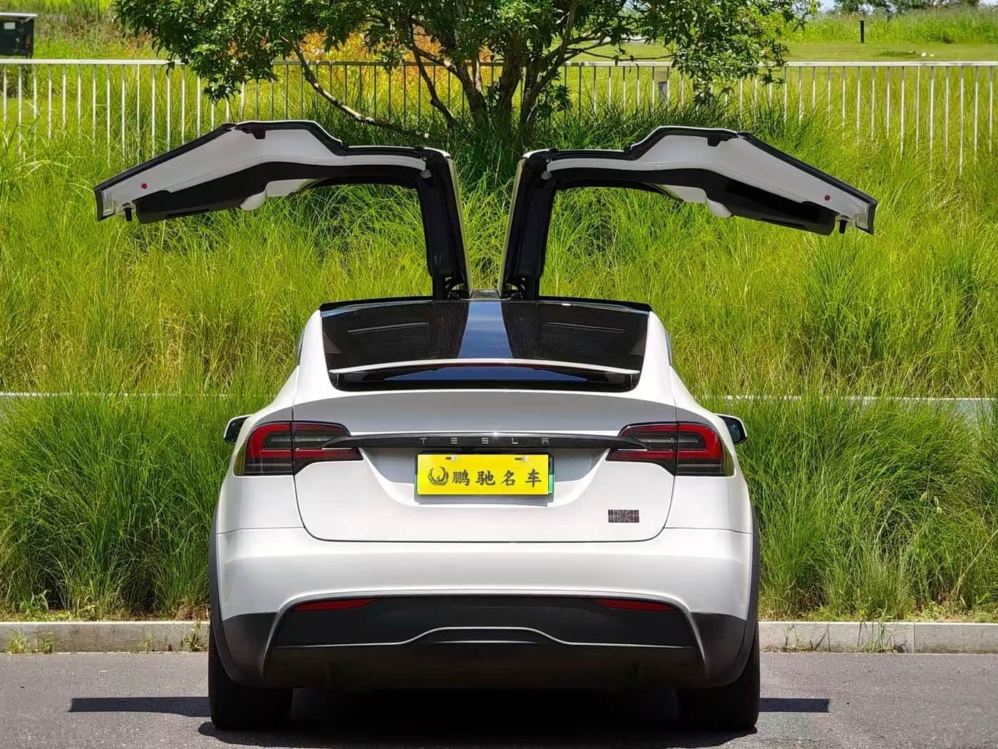 Tesla Model X 2023 — Фото 2/11
