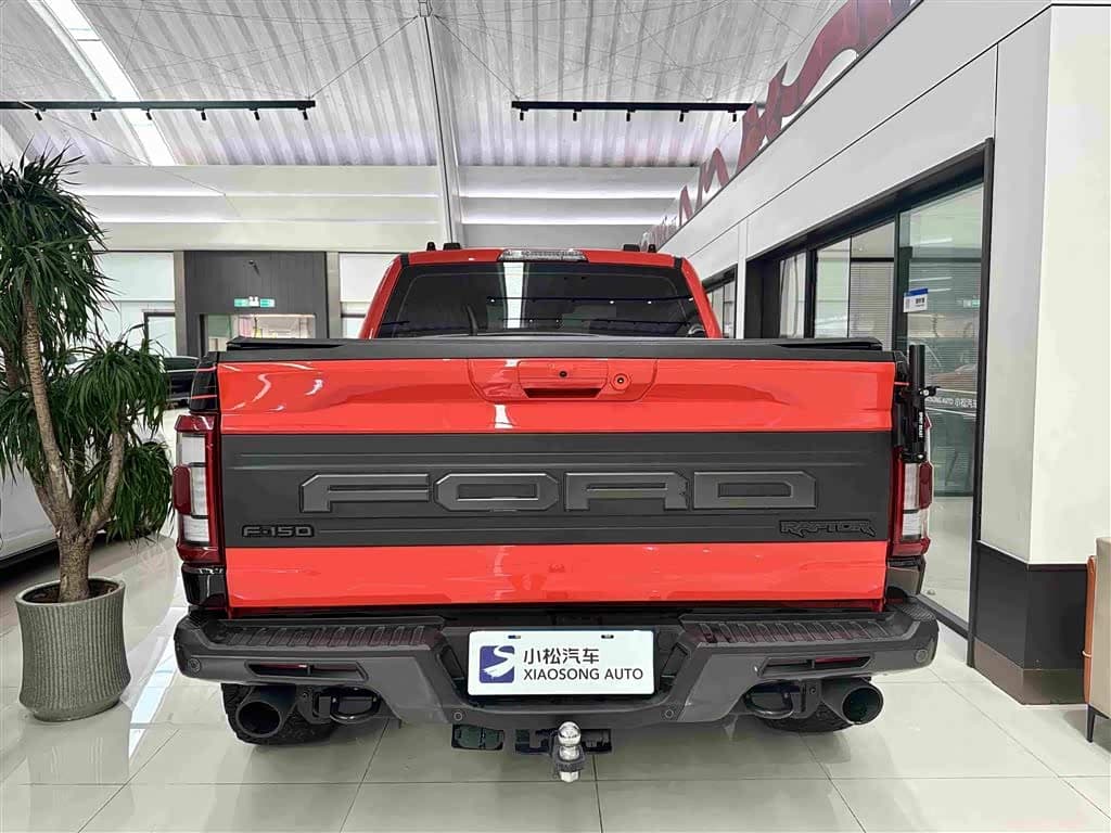 Ford F-150 Raptor 2023 — Фото 18/18