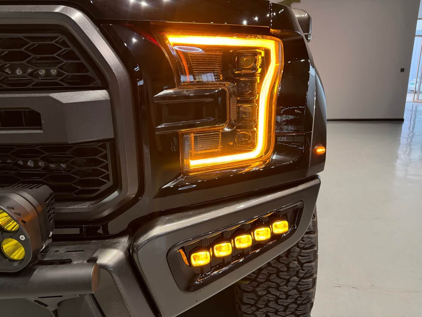 Ford F-150 Raptor 2019 — Фото 9/20