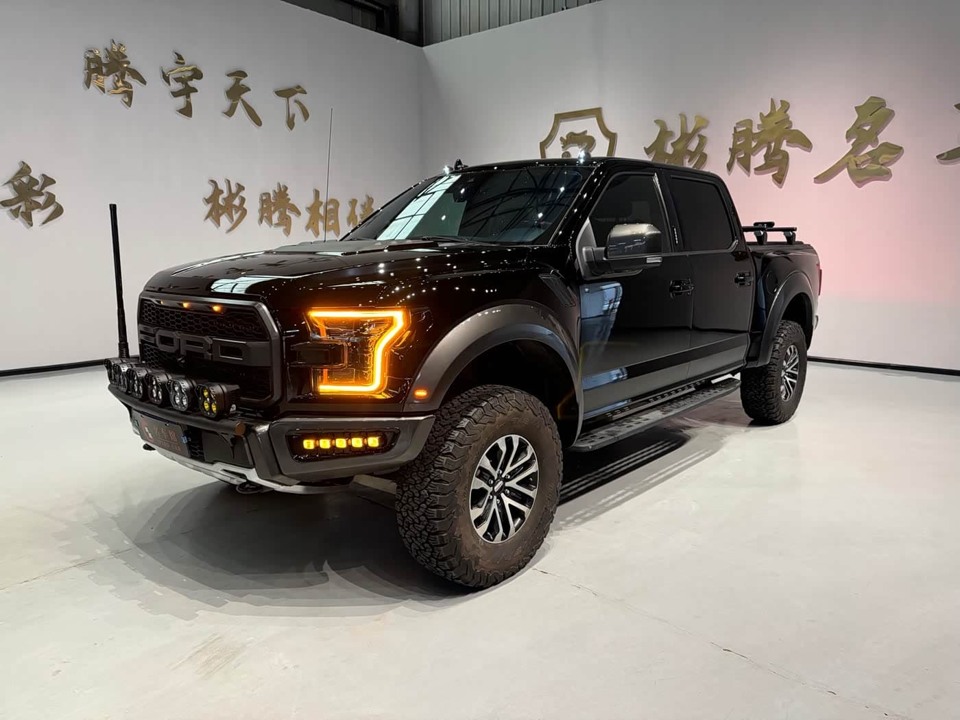 Ford F-150 Raptor 2019 — Фото 2/20