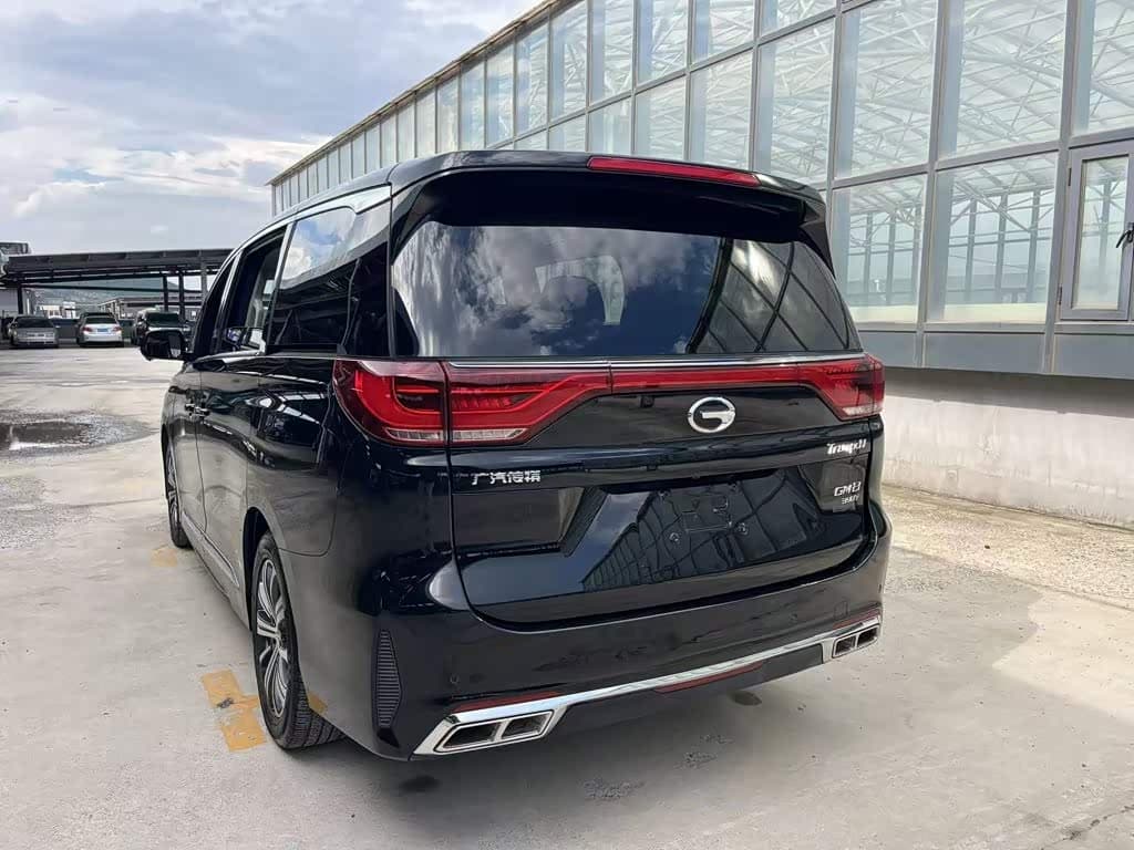 GAC Trumpchi Trumpchi M8 2020 — Фото 7/14