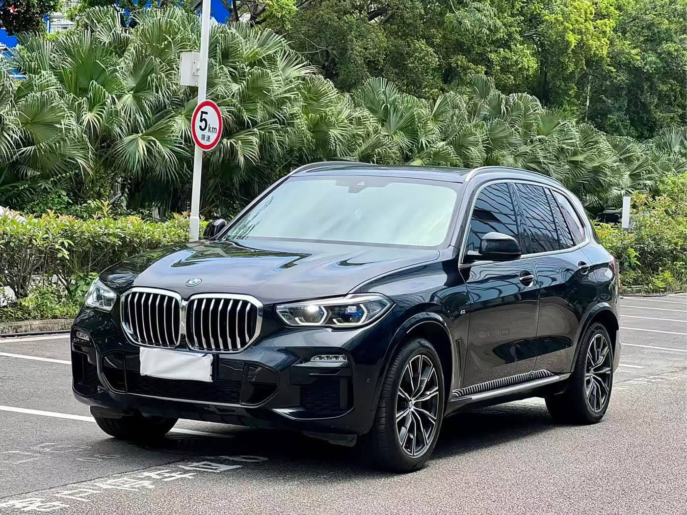 BMW X5, 2019