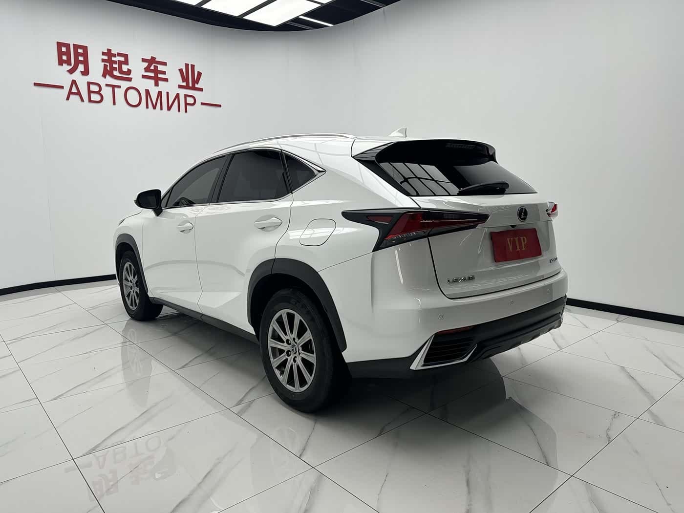 Lexus NX 2020 — Фото 8/19