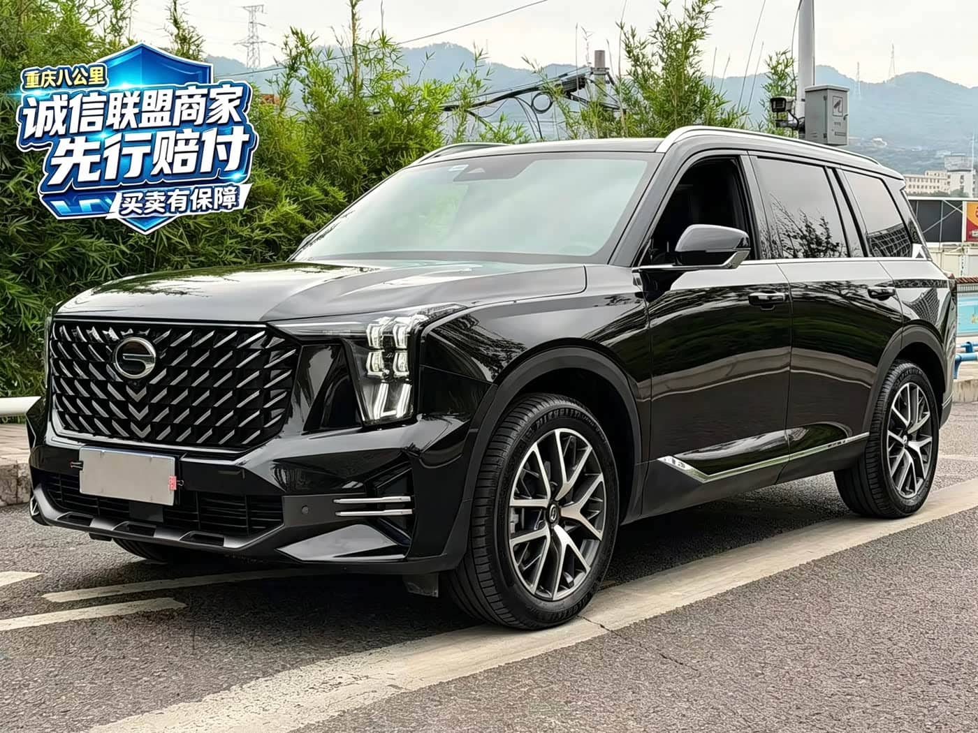 GAC Trumpchi Trumpchi GS8, 2024