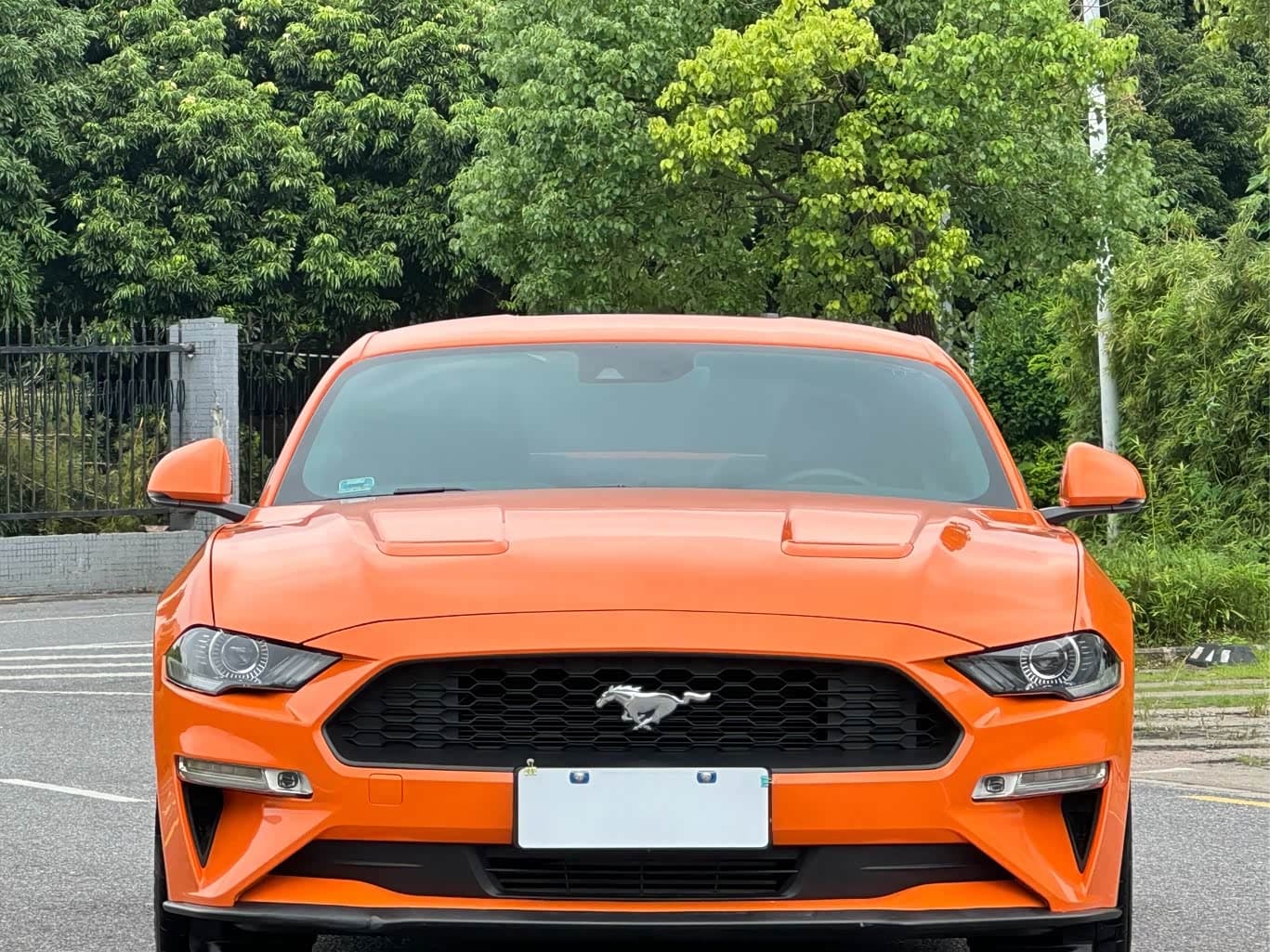 Ford Mustang 2021 — Фото 1/18