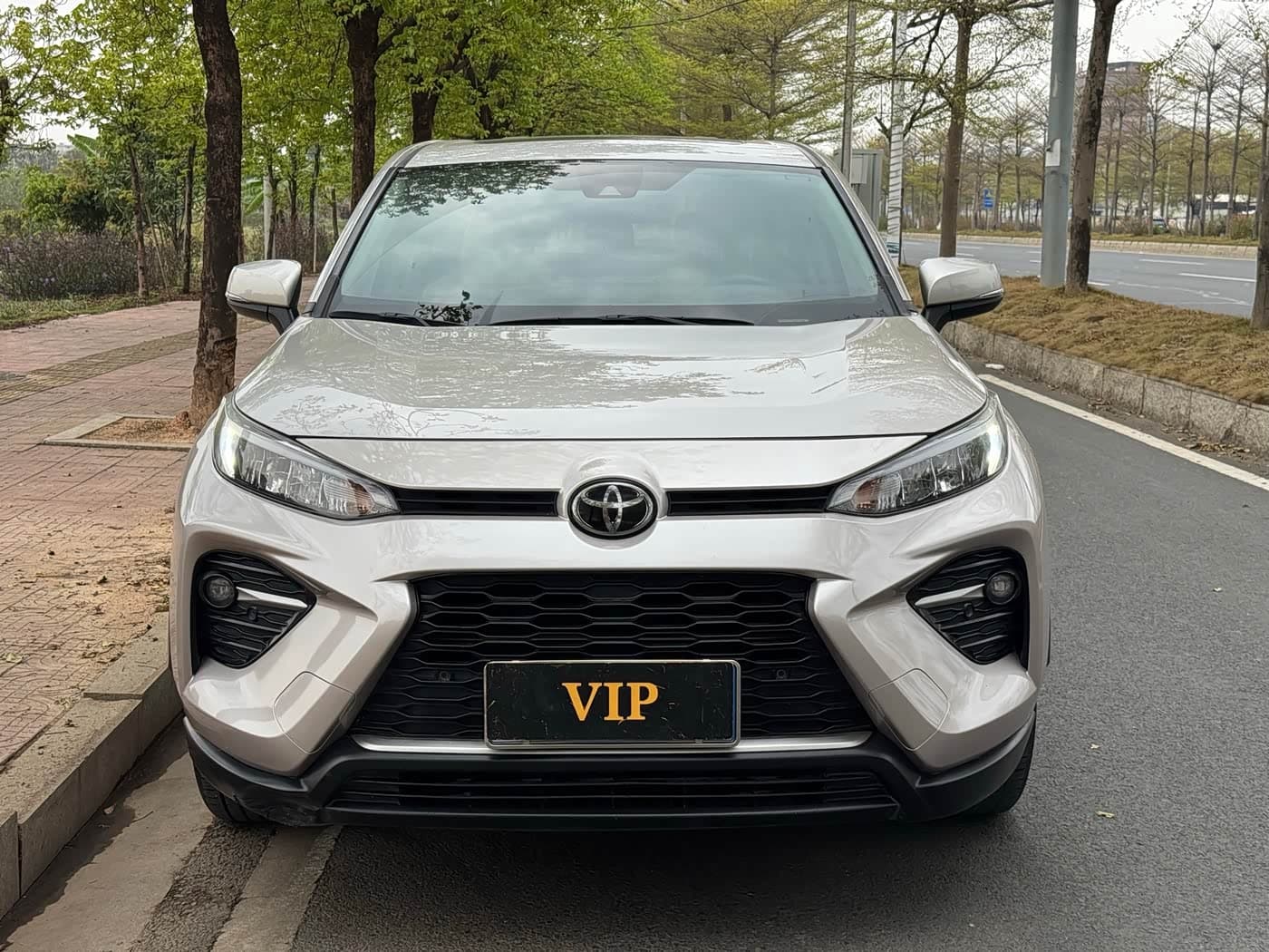 Toyota Wildlander 2020 — Фото 2/12