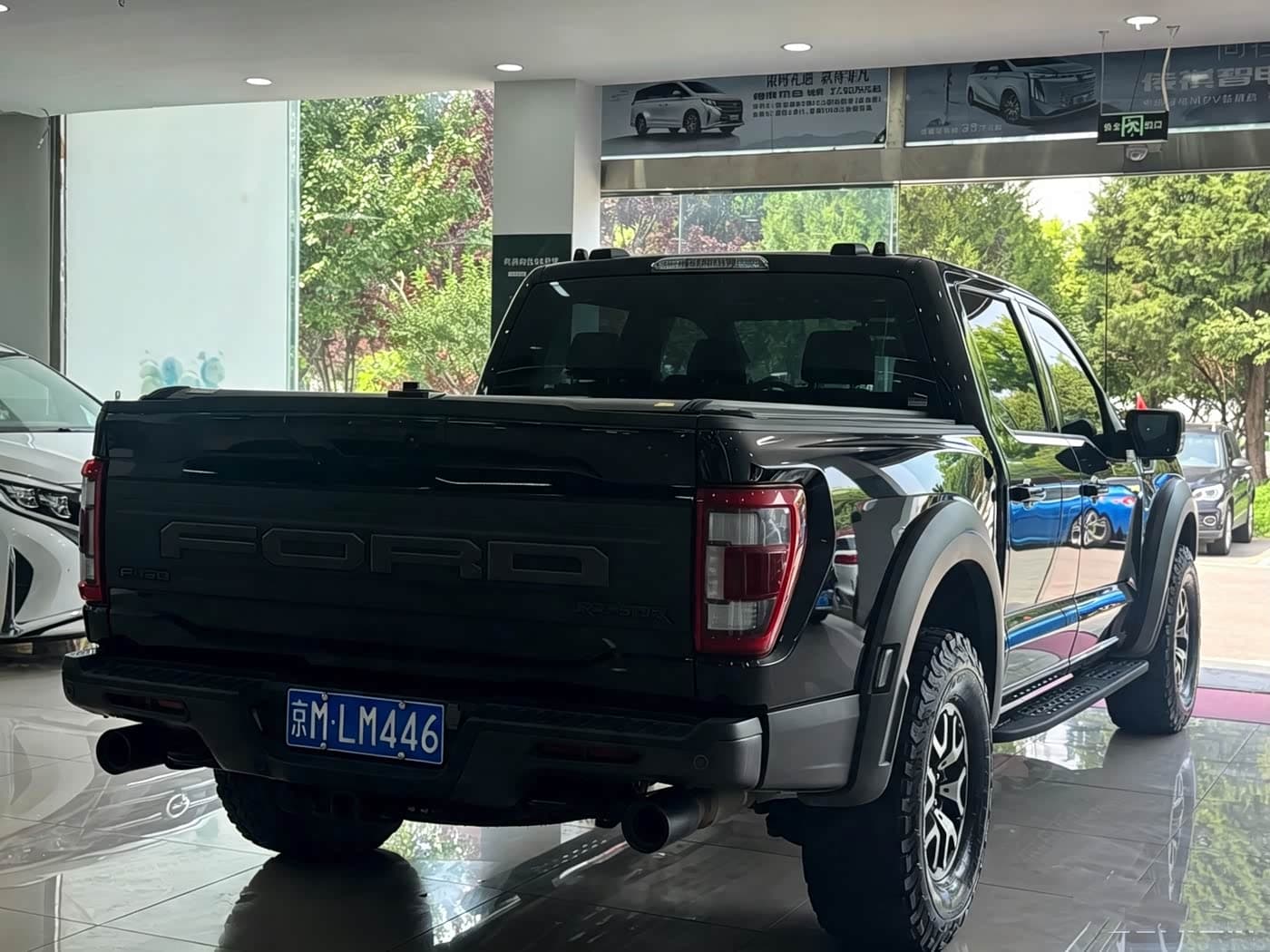 Ford F-150 Raptor 2023 — Фото 9/18