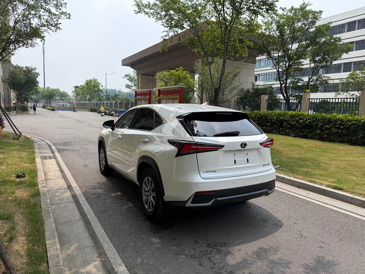Lexus NX 2019 — Фото 12/12