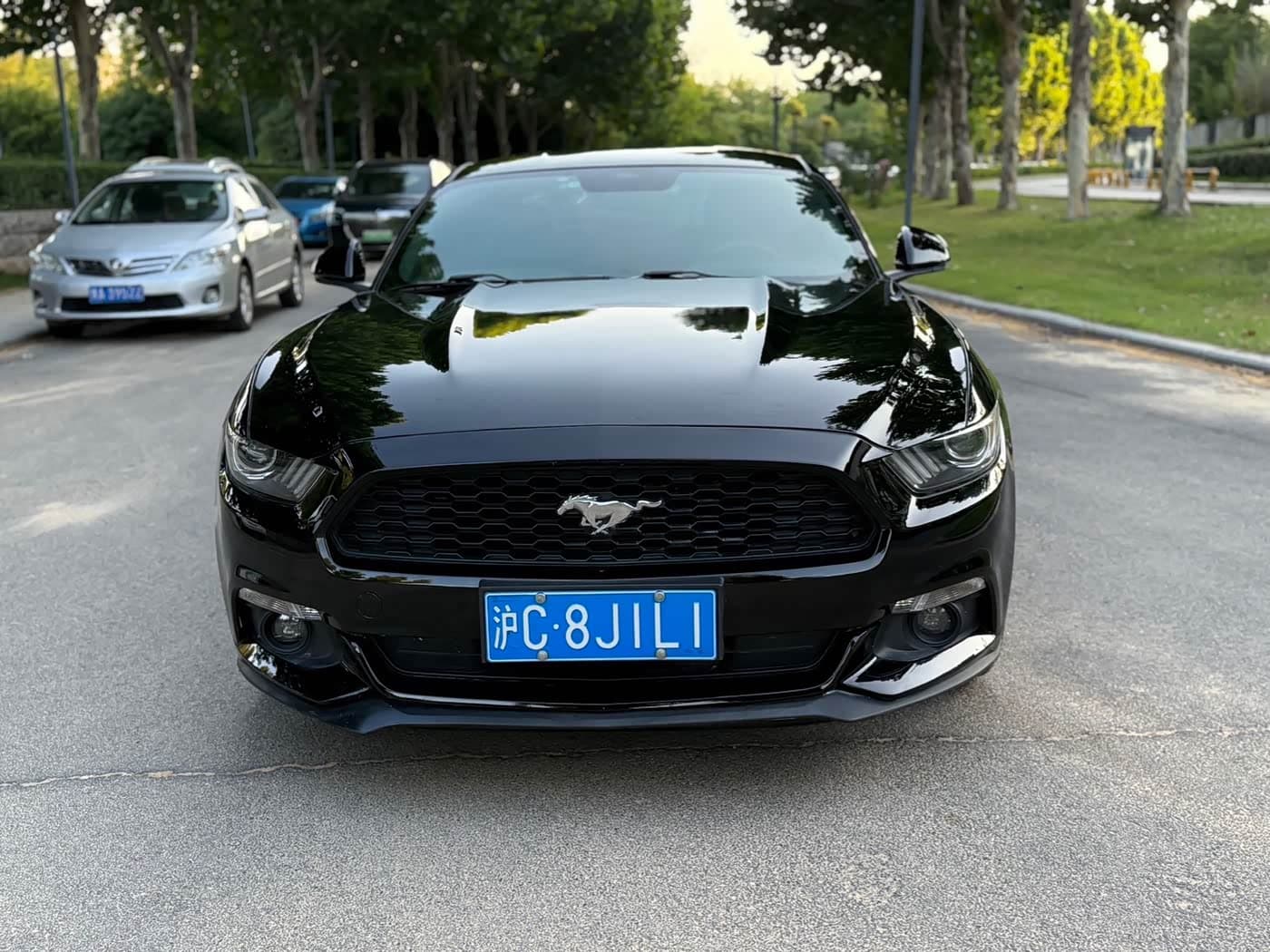 Ford Mustang 2016 — Фото 2/9
