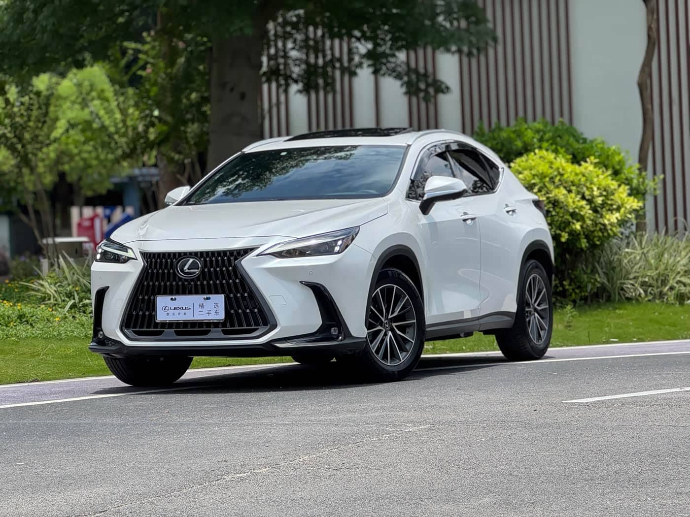Lexus NX, 2023